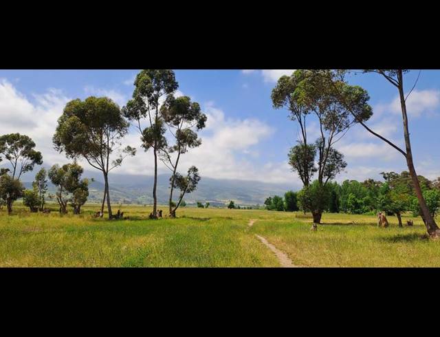 FARM FOR SALE IN PAARL RURAL